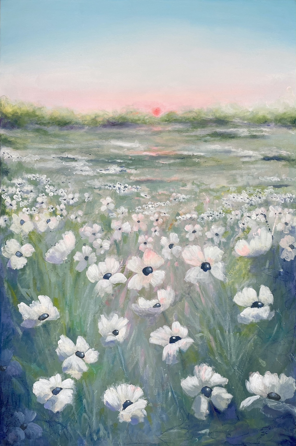 White poppy meadow